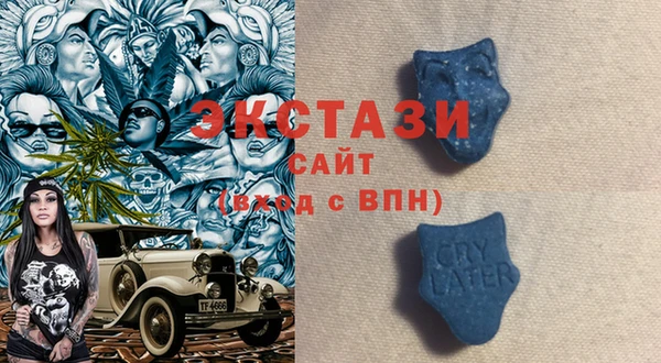 индика Алзамай