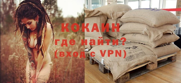 индика Алзамай