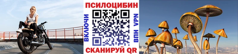 Псилоцибиновые грибы мицелий  Пласт 
